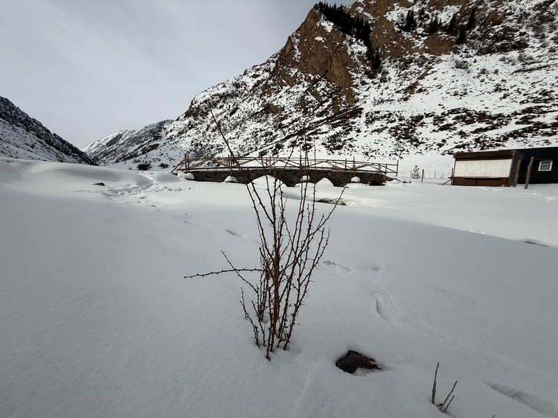 WhatsApp Image 2026-03-05 at 08.51.01 (1).jpeg