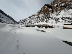 WhatsApp Image 2026-03-05 at 08.51.01.jpeg