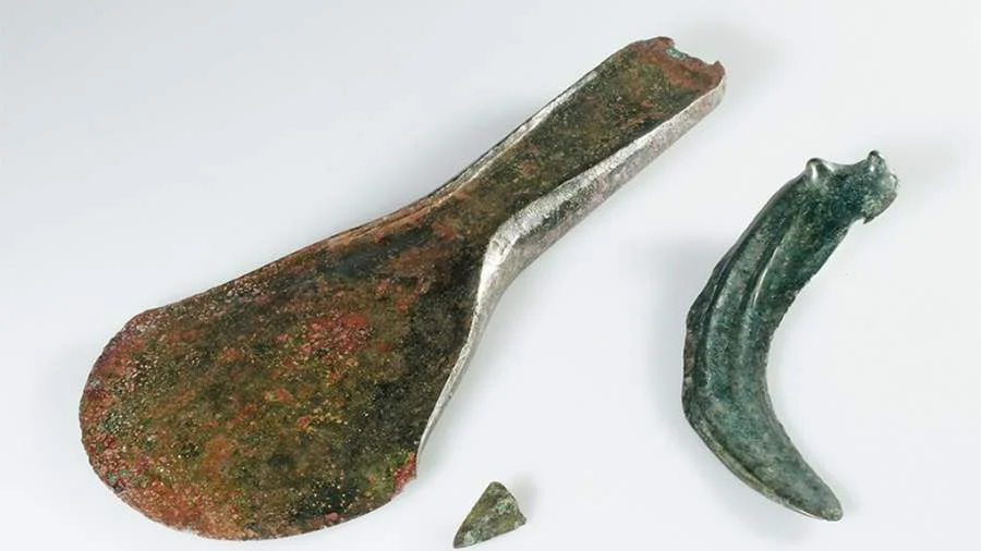 WhatsApp Image 2026-03-05 at 09.18.58.jpeg