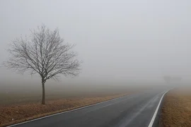 WhatsApp Image 2026-03-06 at 12.20.42.jpeg