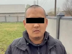 WhatsApp Image 2026-03-06 at 16.43.29.jpeg