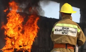 WhatsApp Image 2026-03-07 at 13.36.12.jpeg