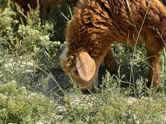 WhatsApp Image 2026-03-10 at 10.12.26 (1).jpeg