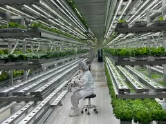 WhatsApp Image 2026-03-10 at 11.24.29 (1).jpeg