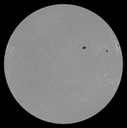 WhatsApp Image 2026-03-10 at 14.40.25.jpeg