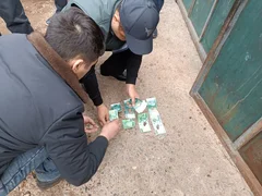 WhatsApp Image 2026-03-10 at 14.55.07.jpeg