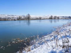 WhatsApp Image 2026-03-12 at 17.42.23.jpeg