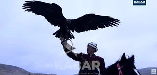 WhatsApp Image 2026-03-13 at 12.16.17 (1).jpeg