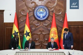 WhatsApp Image 2026-03-16 at 14.40.25 (15).jpeg