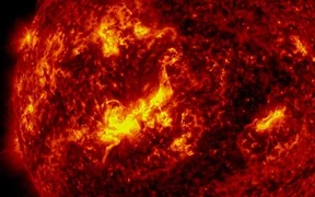 WhatsApp Image 2026-03-17 at 10.58.09.jpeg