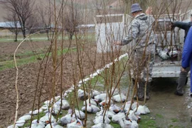 WhatsApp Image 2026-03-17 at 10.58.45.jpeg