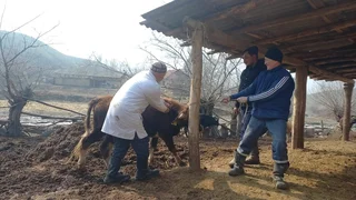 WhatsApp Image 2026-03-17 at 11.45.10.jpeg