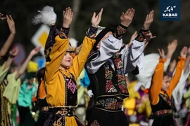 WhatsApp Image 2026-03-17 at 15.28.25.jpeg