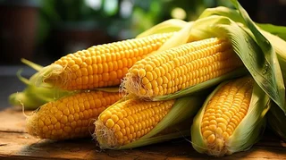 WhatsApp Image 2026-03-19 at 09.53.25.jpeg