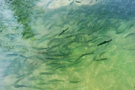 WhatsApp Image 2026-03-19 at 13.34.55.jpeg