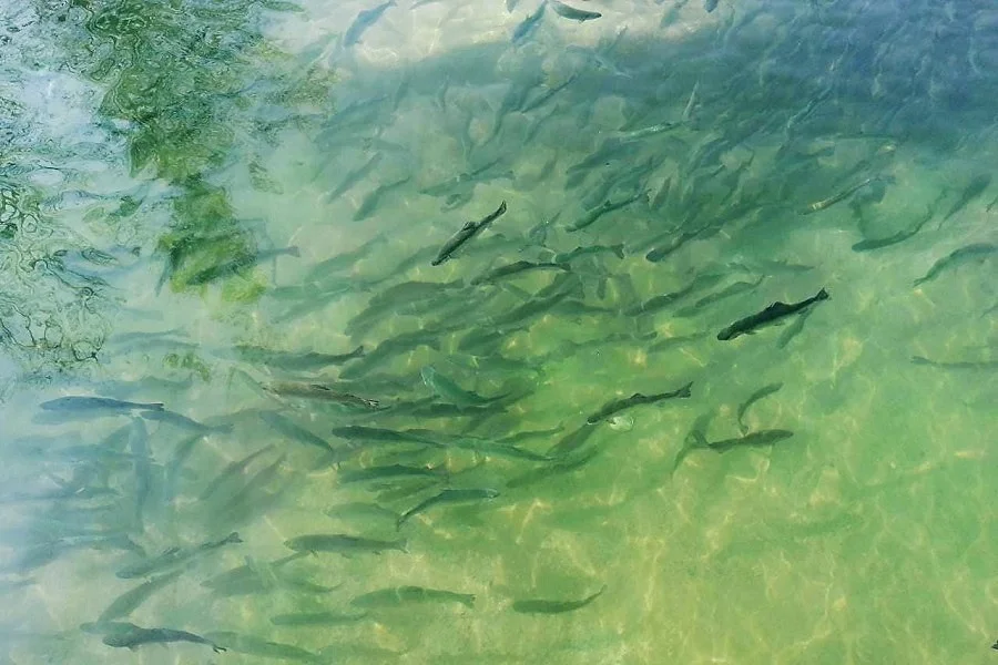 WhatsApp Image 2026-03-19 at 13.34.55.jpeg