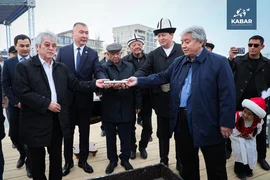 WhatsApp Image 2026-03-23 at 17.05.07 (1).jpeg