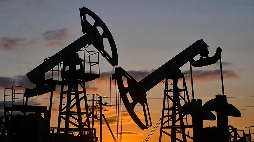 WhatsApp Image 2026-03-27 at 09.15.14.jpeg