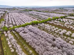 WhatsApp Image 2026-03-31 at 13.17.55 (3).jpeg