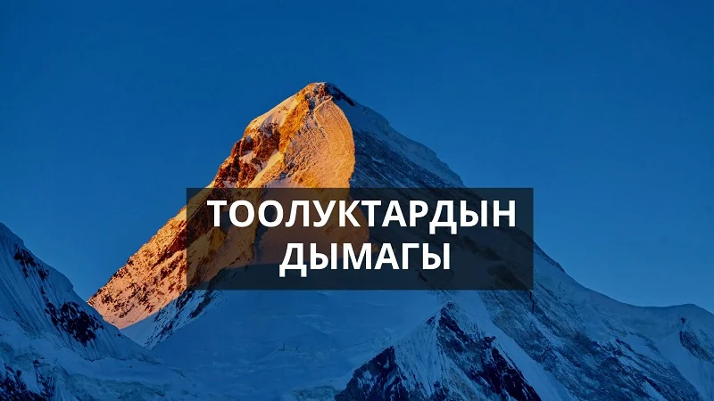 WhatsApp Image 2026-03-31 at 17.30.19.jpeg