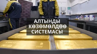 WhatsApp Image 2026-04-02 at 15.44.27.jpeg