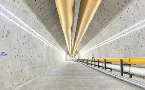 WhatsApp Image 2026-04-03 at 08.46.50.jpeg