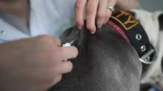 WhatsApp Image 2026-04-08 at 09.10.06.jpeg