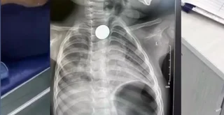 WhatsApp Image 2026-04-08 at 15.05.31.jpeg