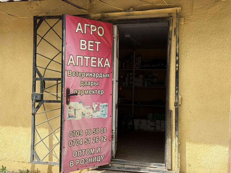 WhatsApp Image 2026-04-09 at 17.12.15.jpeg