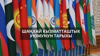 WhatsApp Image 2026-04-09 at 17.31.41.jpeg