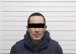 WhatsApp Image 2026-04-09 at 17.30.01.jpeg