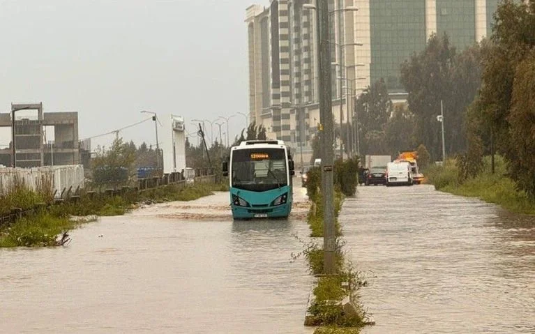 WhatsApp Image 2026-04-10 at 09.01.41.jpeg