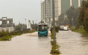 WhatsApp Image 2026-04-10 at 09.01.41.jpeg