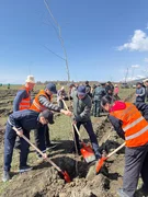 WhatsApp Image 2026-04-12 at 11.14.06.jpeg