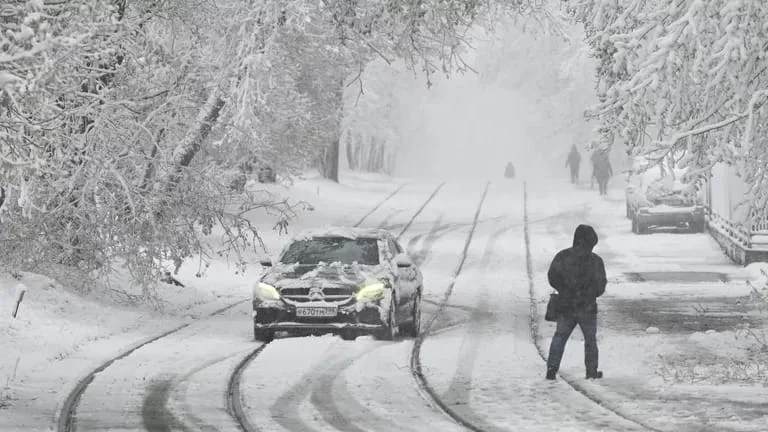 WhatsApp Image 2026-04-28 at 08.49.03.jpeg