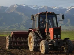 WhatsApp Image 2026-04-29 at 07.40.32 (3).jpeg