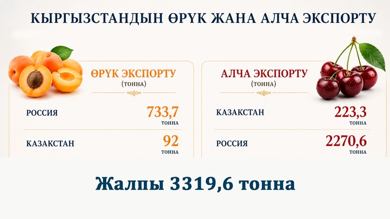 WhatsApp Image 2026-06-02 at 11.19.48