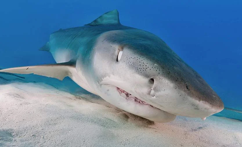 WhatsApp Image 2026-02-19 at 09.06.21.jpeg