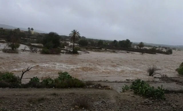 WhatsApp Image 2026-02-09 at 08.28.05.jpeg