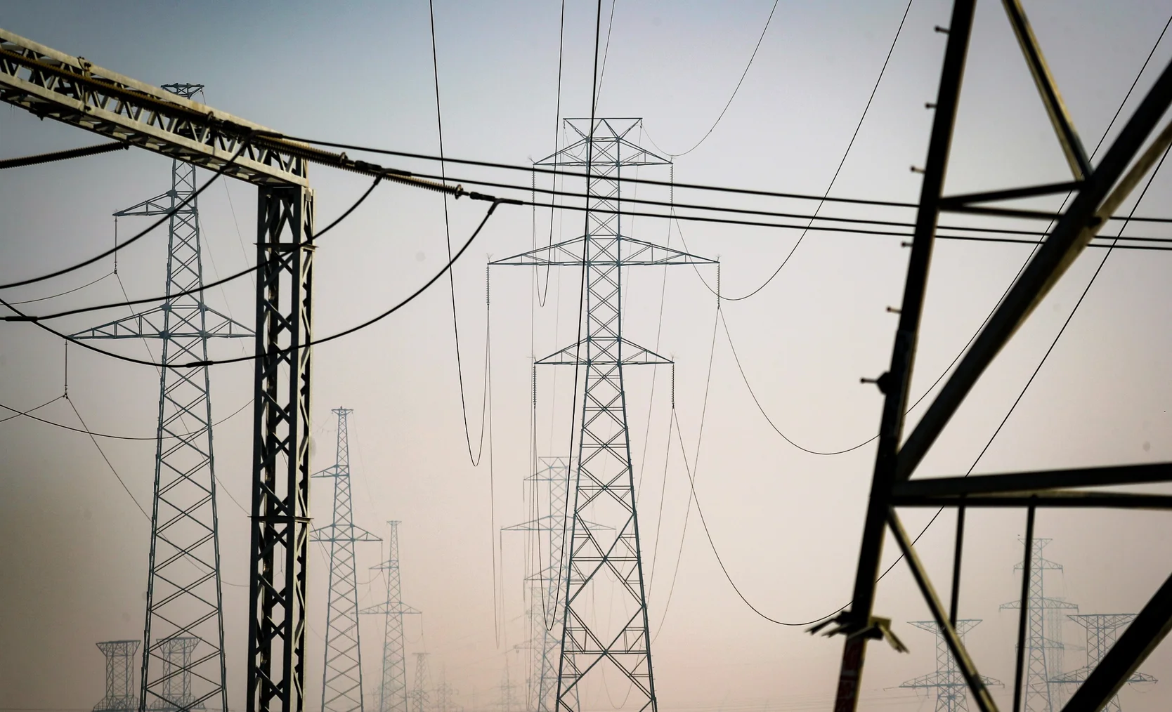 WhatsApp Image 2026-02-18 at 08.37.57.jpeg