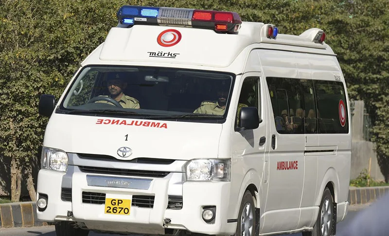 WhatsApp Image 2026-02-16 at 08.32.09.jpeg