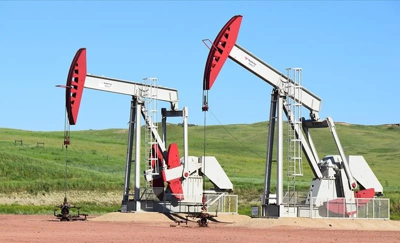 WhatsApp Image 2026-04-09 at 08.44.20.jpeg