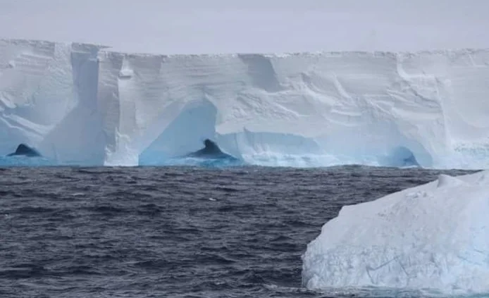 WhatsApp Image 2026-04-22 at 08.54.56.jpeg