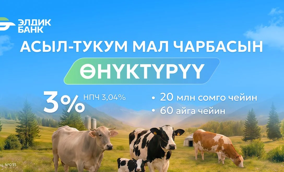 WhatsApp Image 2026-02-26 at 14.32.47.jpeg