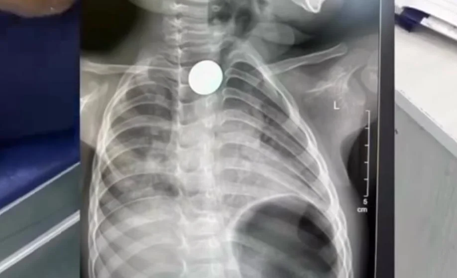 WhatsApp Image 2026-04-08 at 15.05.31.jpeg