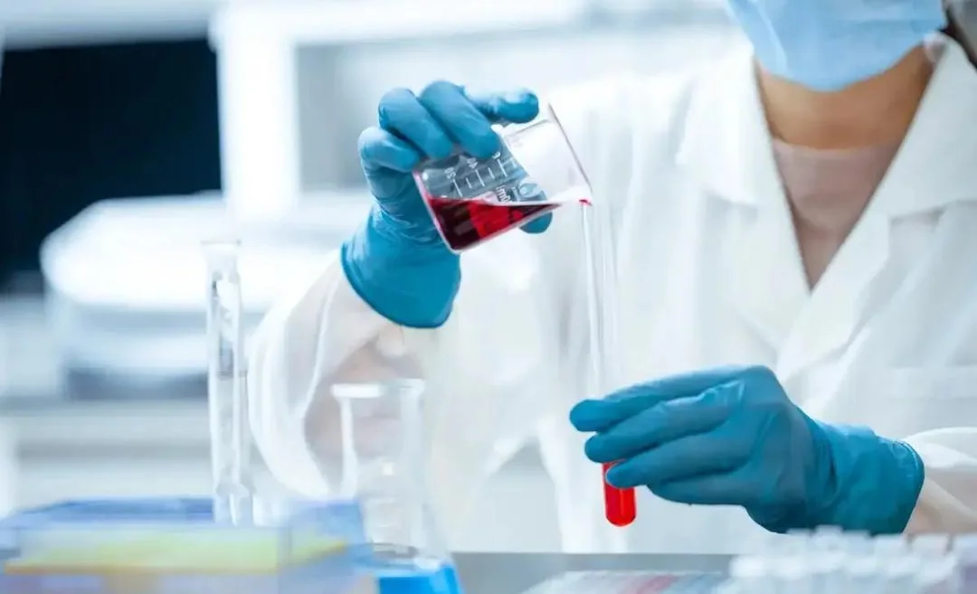 WhatsApp Image 2026-02-23 at 06.45.06.jpeg