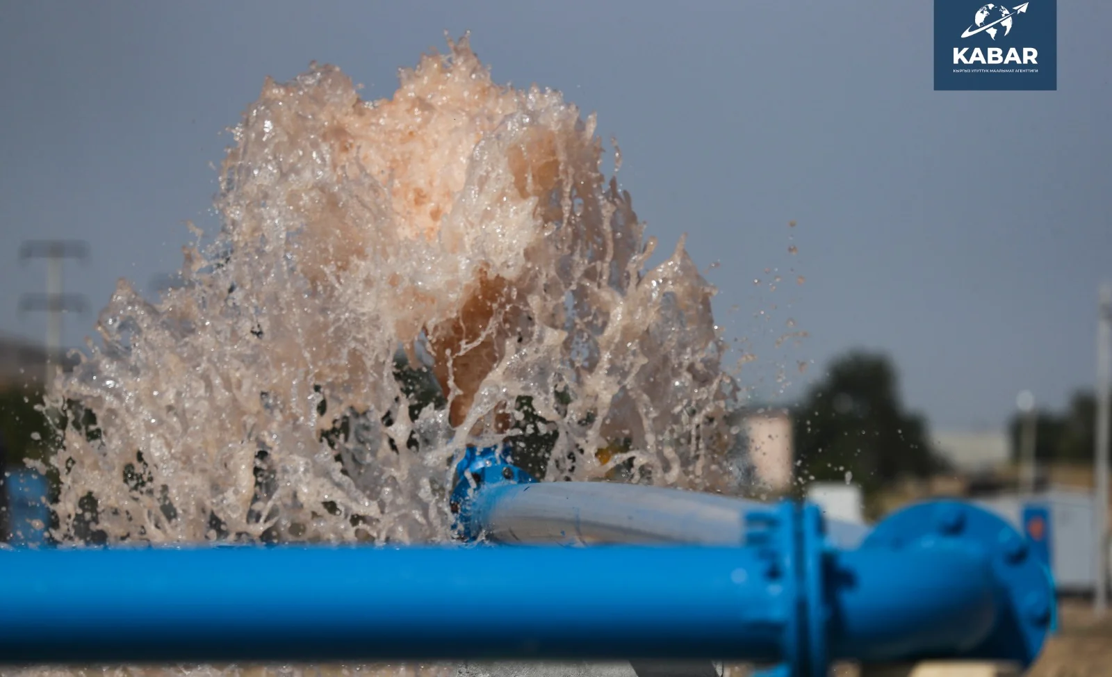 WhatsApp Image 2026-01-16 at 15.56.42.jpeg