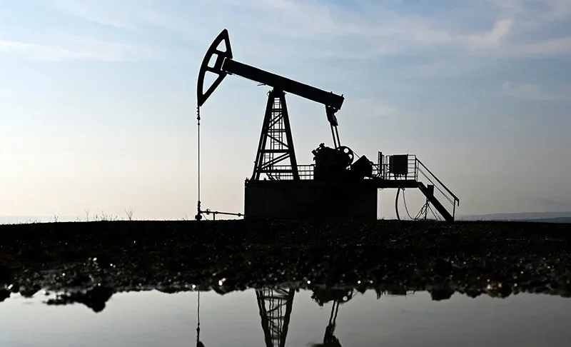 WhatsApp_Image_2026_9FLMtt1.2e16d0ba.format-webp.fill-1668x1014.webp