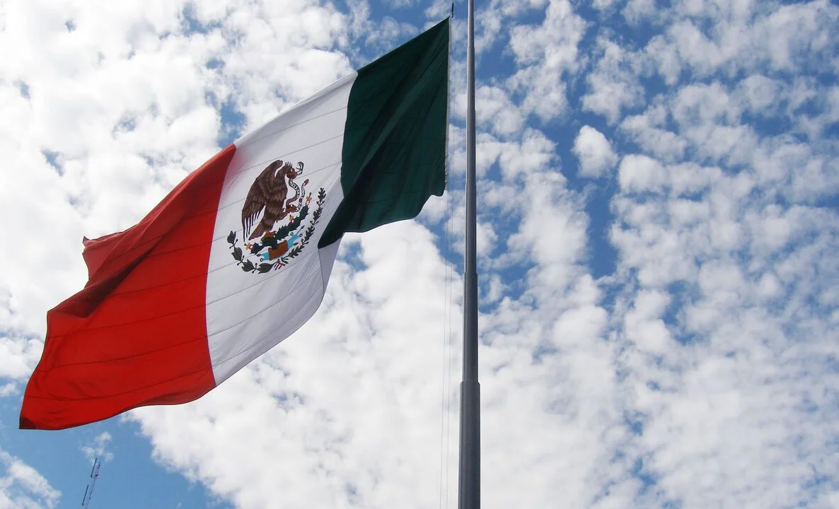 WhatsApp Image 2026-02-12 at 08.32.11.jpeg