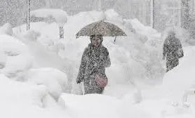 WhatsApp Image 2026-02-11 at 08.53.45.jpeg